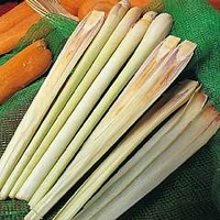Herb : Lemon Grass (Cymbopogon citratus) 1 packet