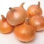 Onion : Dulcinea SupaSweet&trade;  F1 Hybrid 1 packet