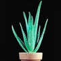 Aloe vera 1 packet