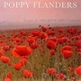 Papaver Rhoeas Flanders 1 packet (2000 seeds)