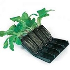 Root Trainers 32 cell model