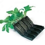 Root Trainers 32 cell model