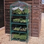Greenhouse - Mini Patio Greenhouse 1 mini greenhouse