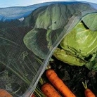 Enviromesh Plant Protection 2 packs