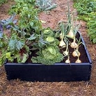 Raised Bed : Kit 1 x 1m raised bed kit