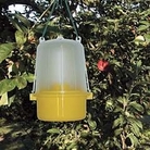 Wasp Trap 1 trap