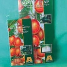 Fruit Moth Trap 1 trap refill
