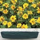 Window Box 2 window boxes + 1 FREE