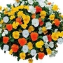Viola Banner Daffodil Mixed 42 plug plants + Eezee™ Flower Ball