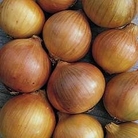 Onion : Setton 2 packs