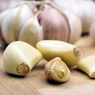 Garlic : Spring Planting 4 large bulbs