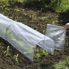 Sectional Tunnel Cloche - Replacement Pack