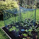 Fruit and Veg Cage