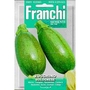 Courgette Bolognese Seeds of Italy