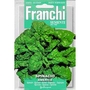 Spinach America Seeds of Italy