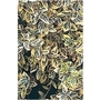 Euonymus Emerald N Gold x 1 litre pot