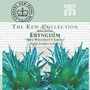 Kew : Eryngium Giganteum Miss Wilmott's Ghost 1 packet (25 seeds)