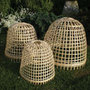 Bamboo bell cloche