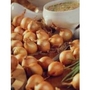 Shallot Yellow Moon