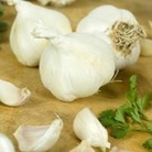 Garlic Cristo