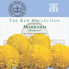 Kew Collection - Marigold Doubloon Seeds