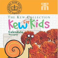 Kew Seeds for Kids - Calendula Porcupine