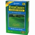 EverGreen Shady Lawn Grass Seed 250g