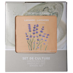 Lavender Growing Set