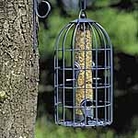Standard Seed Bird Feeder