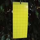 Yellow Sticky Traps Pack of 5