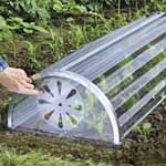 Longrow Super Cloche