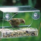 Window Bird Feeder