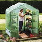 Plant House with integral staging