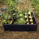 Raised Bed Kit (Pack of 2)