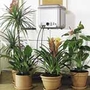 Oasis Indoor Self-Watering System