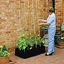 Mini Raised Bed & Crop Support Frame