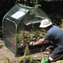 Mini Greenhouse and Raised Bed Kit