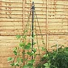 Garden Maypole