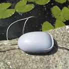 Solar Pond Oxygenator