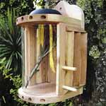 Solar Insect Theatre