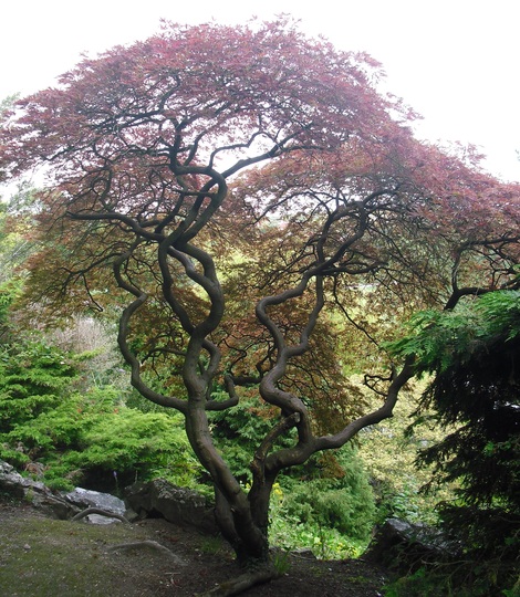 Cimg4443acer