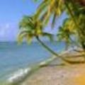 Landscape_avatar_1510_tropical_beach