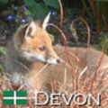 wildlife_friendly