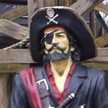 david