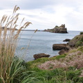kiwipeta