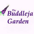 buddlejagarden