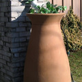 robann