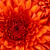 smb050851