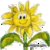 daff