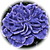 Dottydaisy2